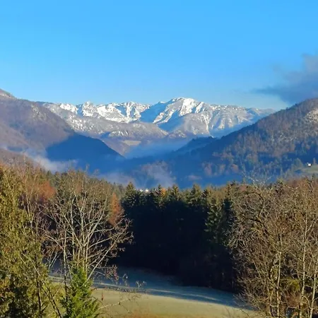 Ξενοδοχείο με διαμερίσματα Goisererglueck 3*