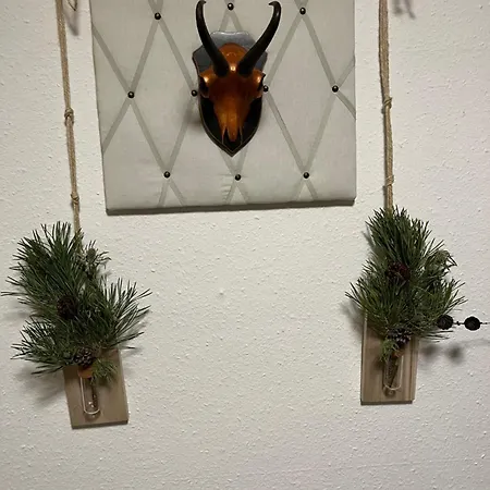 Goisererglueck Ξενοδοχείο με διαμερίσματα Bad Goisern