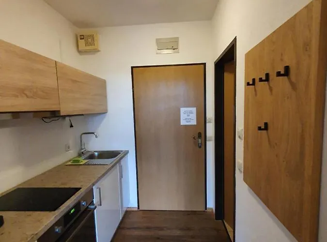 Ξενοδοχείο με διαμερίσματα Goisererglueck Bad Goisern