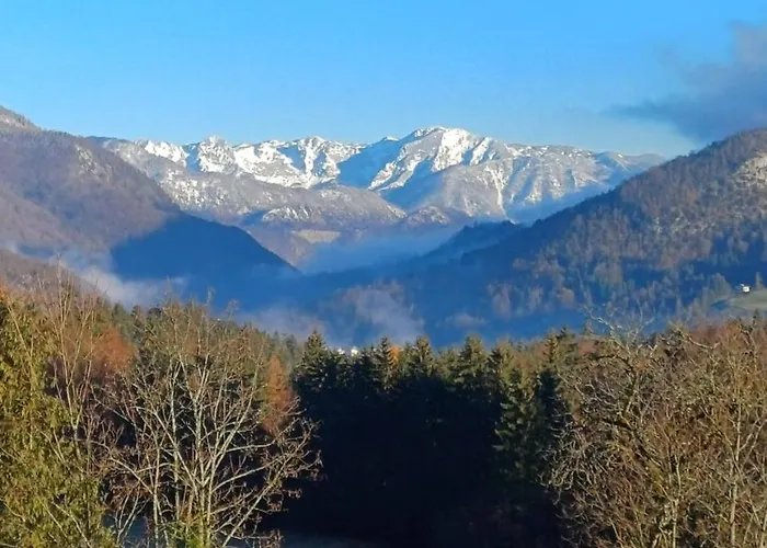 מלון דירות Goisererglueck 3*